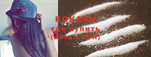 сатива Волоколамск