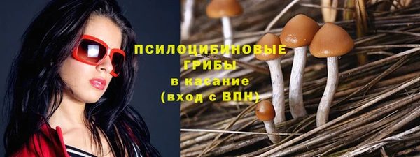 PSILOCYBIN Верхний Тагил