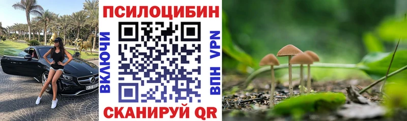 Псилоцибиновые грибы MAGIC MUSHROOMS  darknet Telegram  Калачинск 