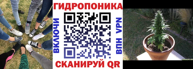 где купить наркоту  Калачинск  Каннабис MAZAR 